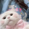 LIN