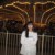 yyc_719