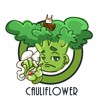 Chi Chia Hao
