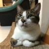 zac8434