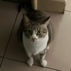 林佑桥