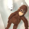 MSPamelo