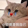阿里巴巴大侠