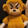 褶褶羊