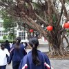zhi_ying