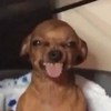 子配