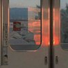 樾枞