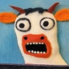 zxcvnm