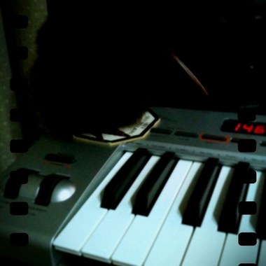 猜-demo