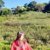 zzzni_0210
