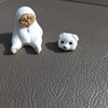 宿醉案眠药 ZOCo