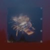 再见，所有的星 MMM Mastered