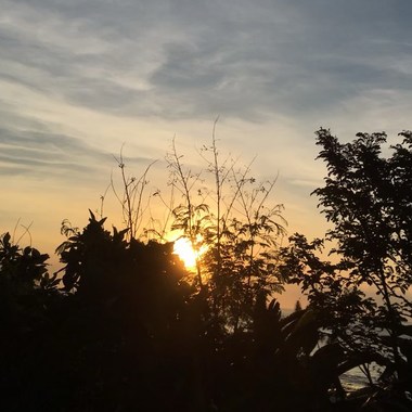 斑马 , 斑马（Cover）