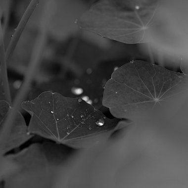 105 - 对昨天说再见