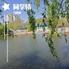 同学情