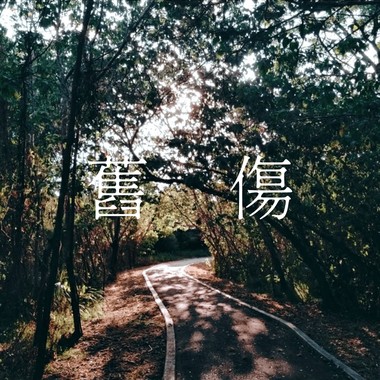 旧伤Scar