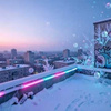 那不是雪