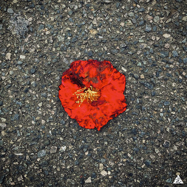 旧梦 (Prod. KMKZ)