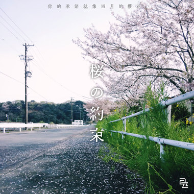 你的承诺就像四月的樱花