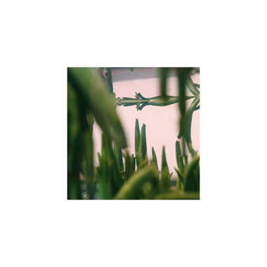 春水煎茶[prod.by GZ]