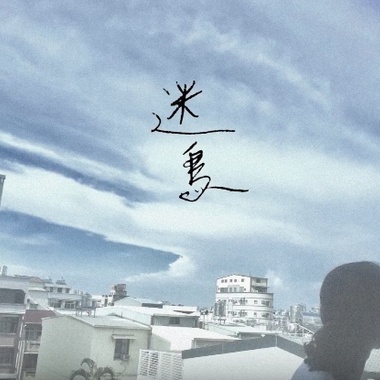迷鸟