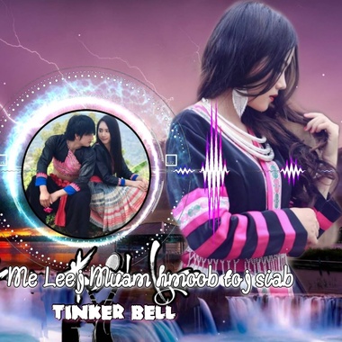 Me Leej Muam hmoob toj siab（mix）