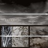 美与欢愉有不同时（Swallow the Pity）