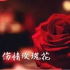 我们不是朋友