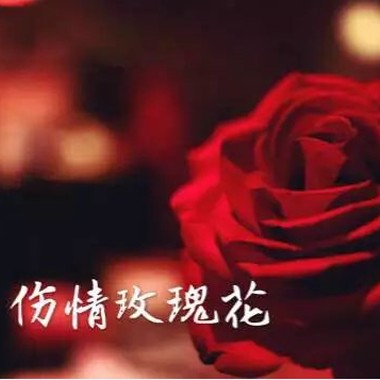 伤情玫瑰花