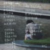 没把你留下 demo
