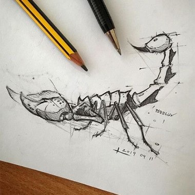 蝎子