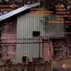 09. Pass up (FAN/GoldMine/WHO/740/7u)