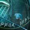 死于过去 生于未来