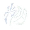 光阴