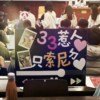 闪闪惹人爱