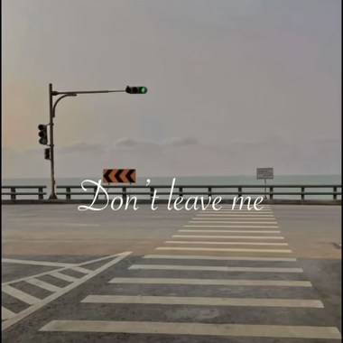 Dont leave me 别离开(demo)