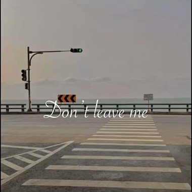 Dont leave me 别离开(demo)
