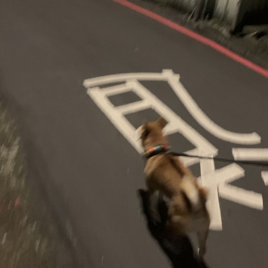 没有如果