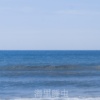 海里睡虫