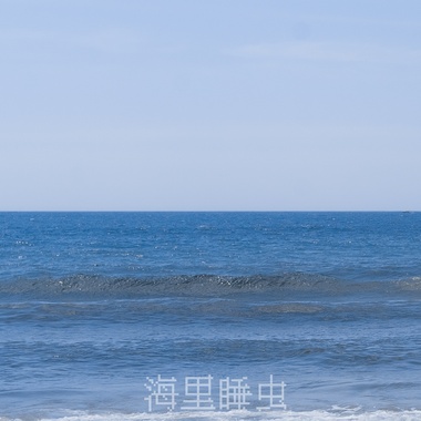 海里睡虫