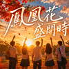 凤凰花盛开时