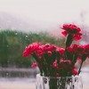 等雨停＿DEMO