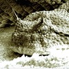 Yes, You Are Right你是对的_DEMO