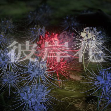 彼岸花