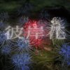 彼岸花