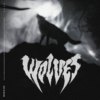 梦回 - Wolves