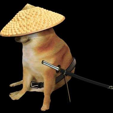 不要晕船/Do not simp