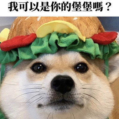 痴心绝对— cover by 堡堡犬