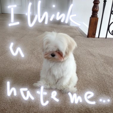 是我毁ㄌ尼（I think u hate me…）