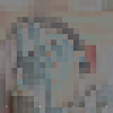 野狗 CUJO（demo）